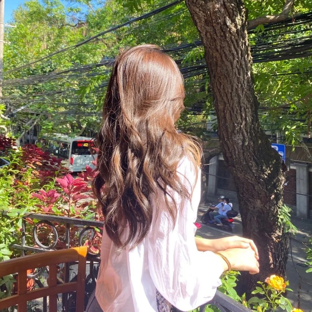 红翼